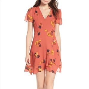 Madewell Posy Cactus Floral Dress Size 2 NWT